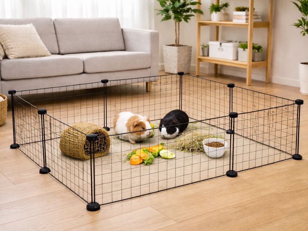 GAIOLA PARA ANIMAIS