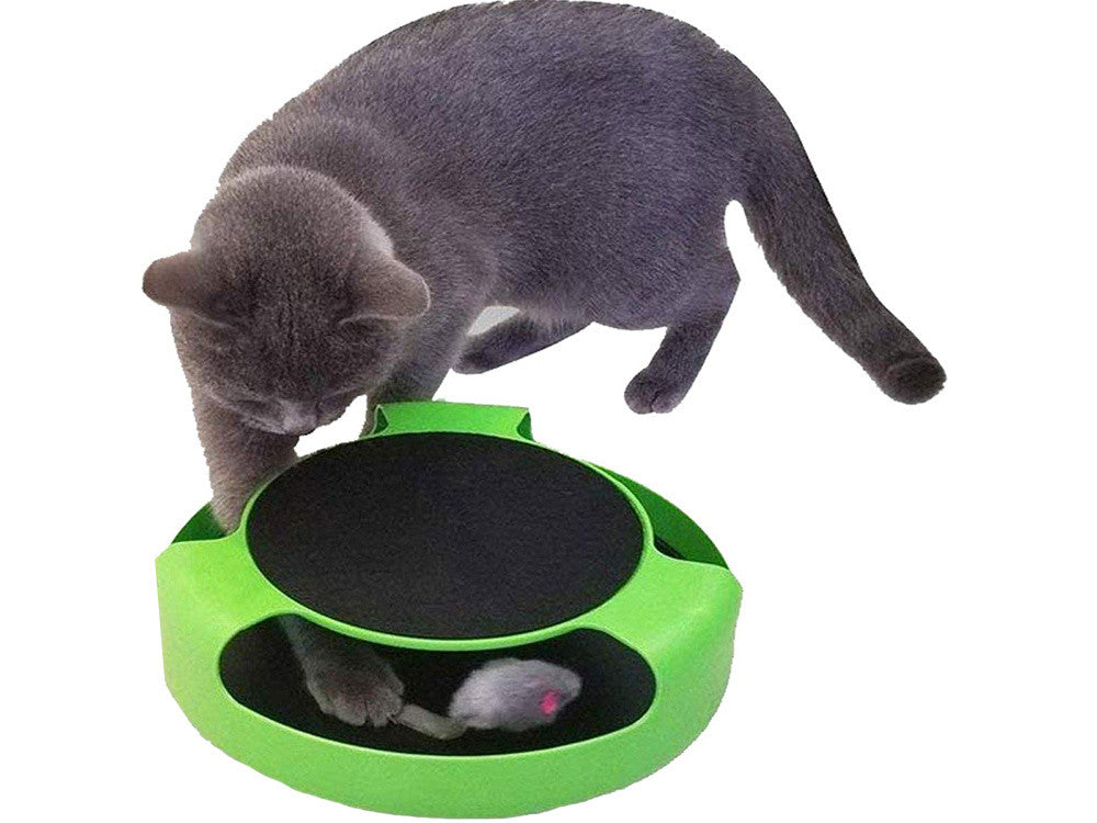 Brinquedo Interativo para Gatos