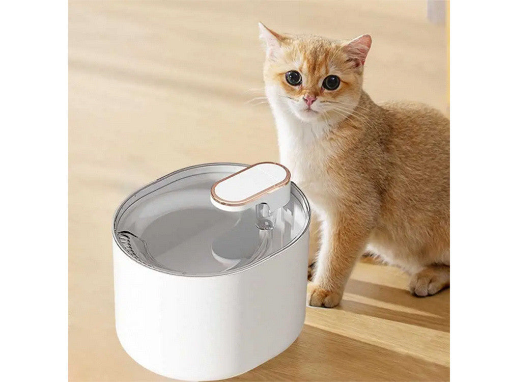 BATATA DE FONTE PARA CÃES BRANCA