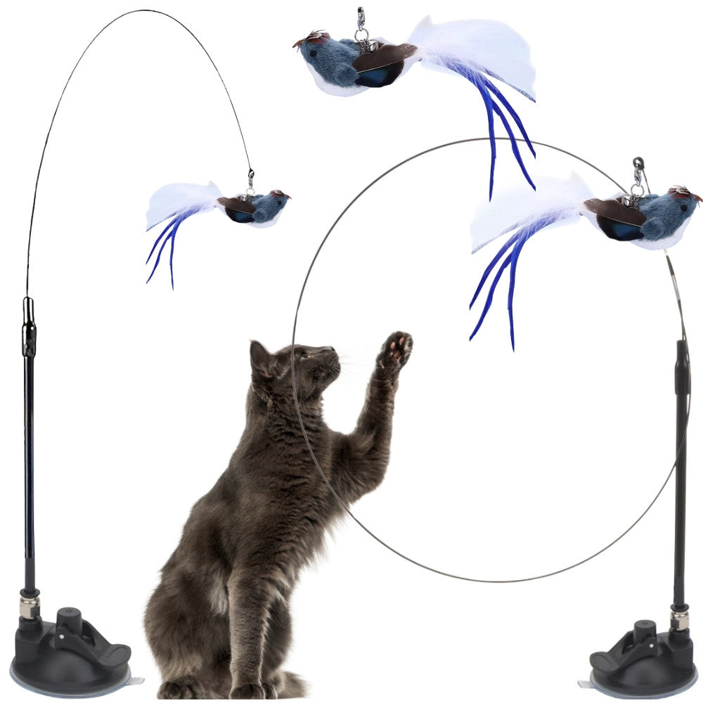 ANEL DE BRINQUEDO PARA GATO