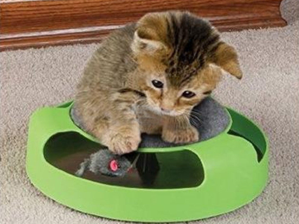 Brinquedo Interativo para Gatos