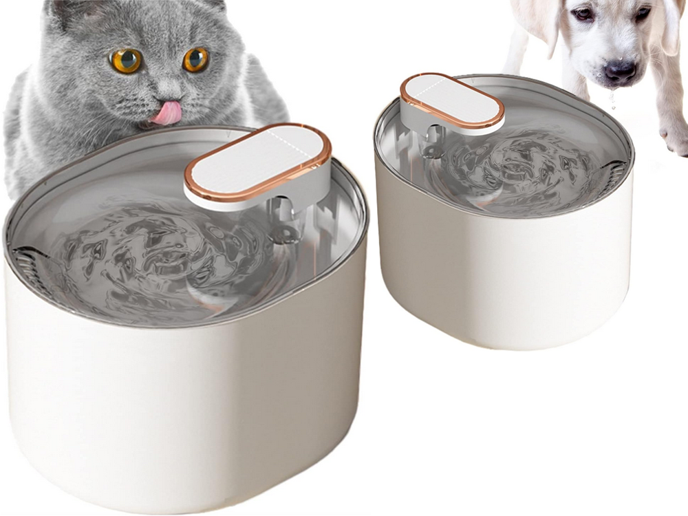 BATATA DE FONTE PARA CÃES BRANCA