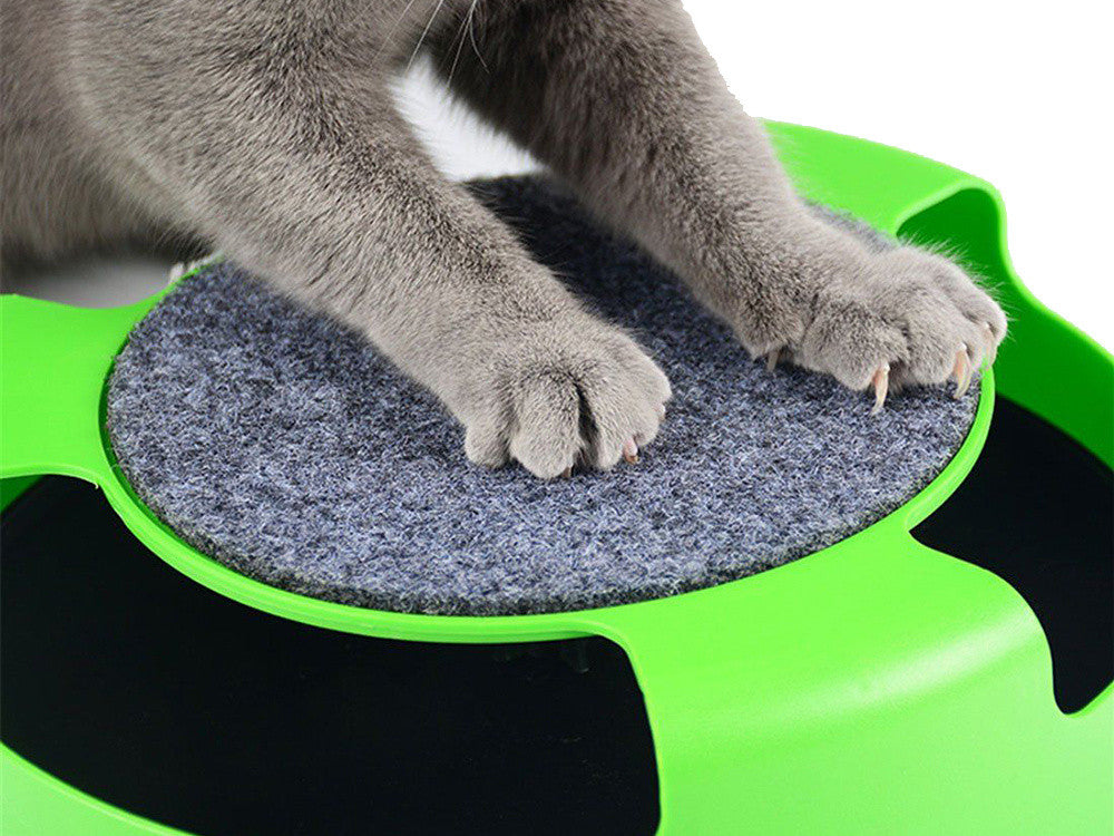 Brinquedo Interativo para Gatos