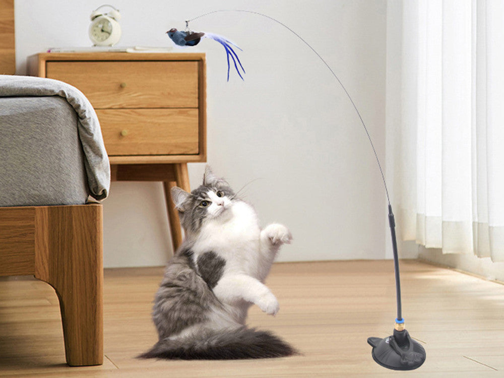 ANEL DE BRINQUEDO PARA GATO
