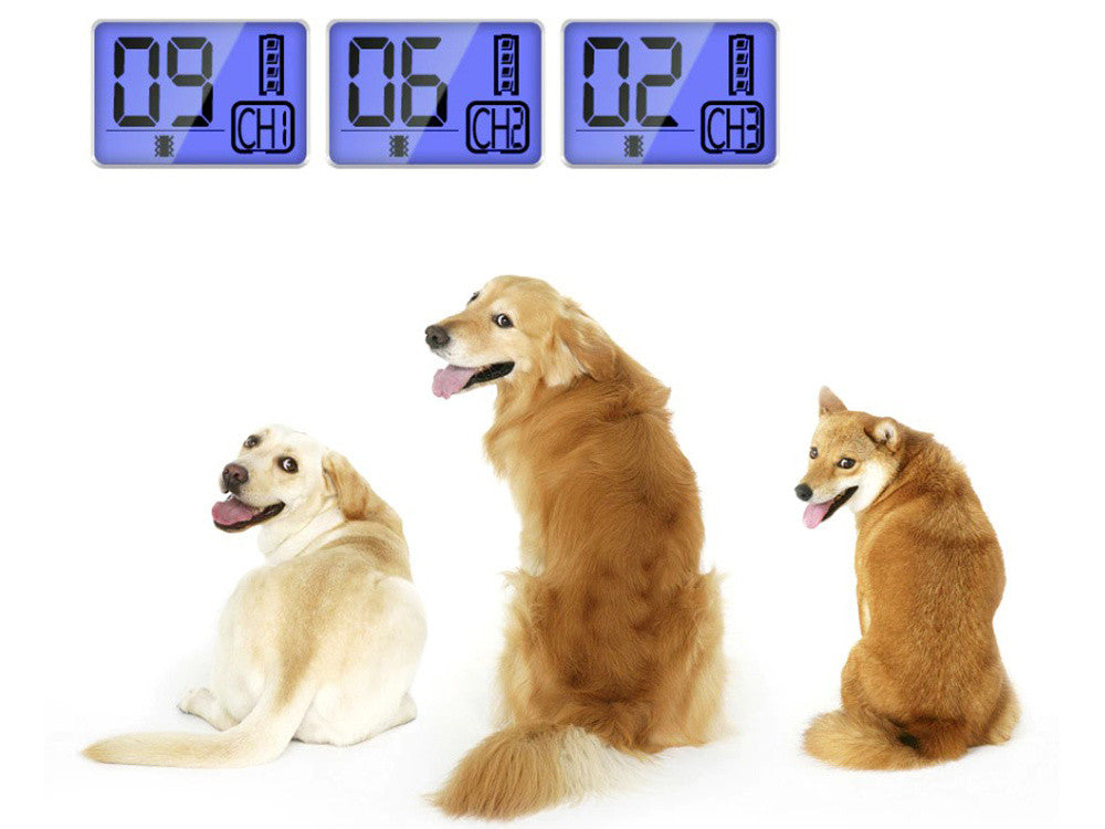 Colar de Treinamento para Pets com Controle Remoto Digital