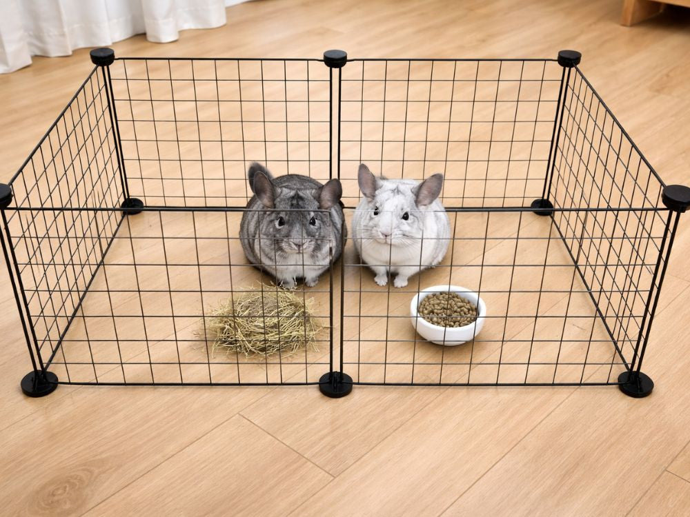 GAIOLA PARA ANIMAIS