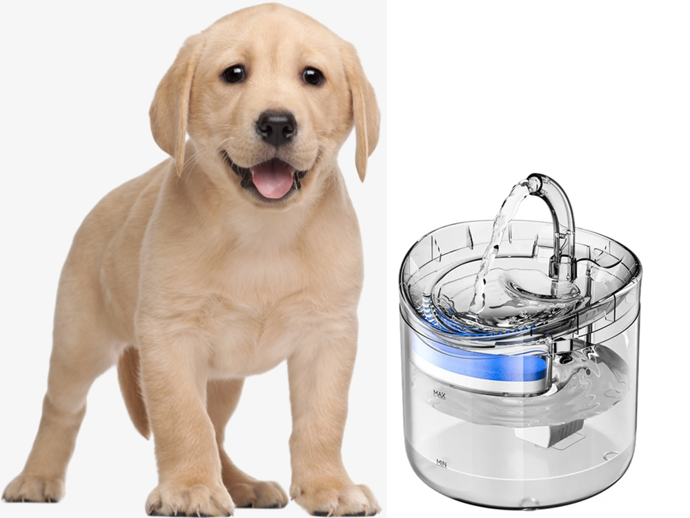 DISPENSADOR DE ÁGUA 2L