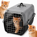 Transportadora Moderna para Gatos