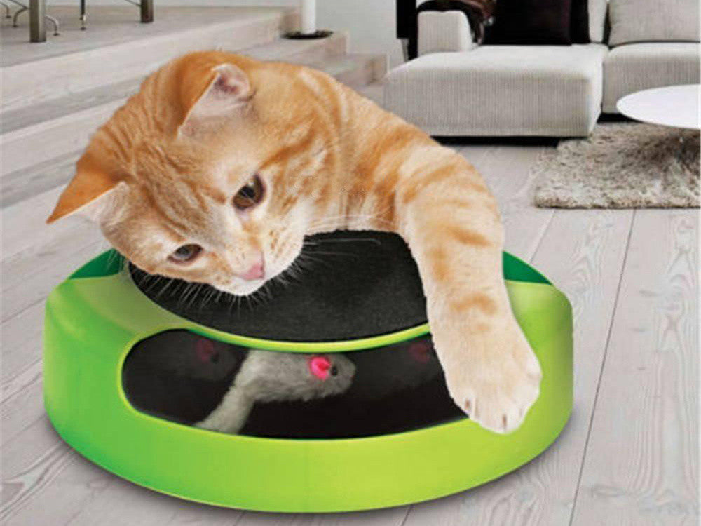 Brinquedo Interativo para Gatos