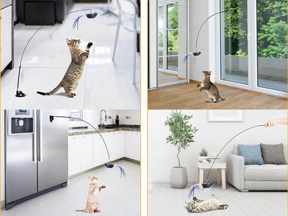 ANEL DE BRINQUEDO PARA GATO
