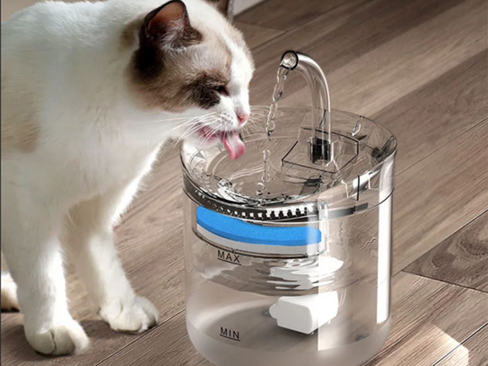 DISPENSADOR DE ÁGUA 2L