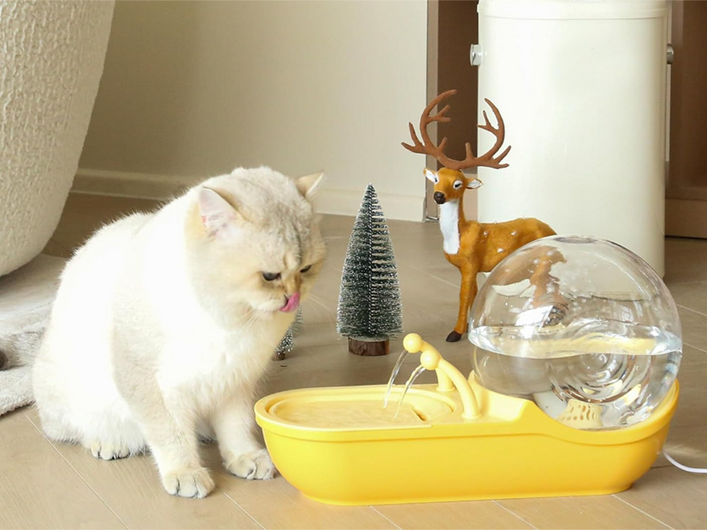 DISPENSADOR DE ÁGUA PARA ANIMAIS DE ESTIMAÇÃO