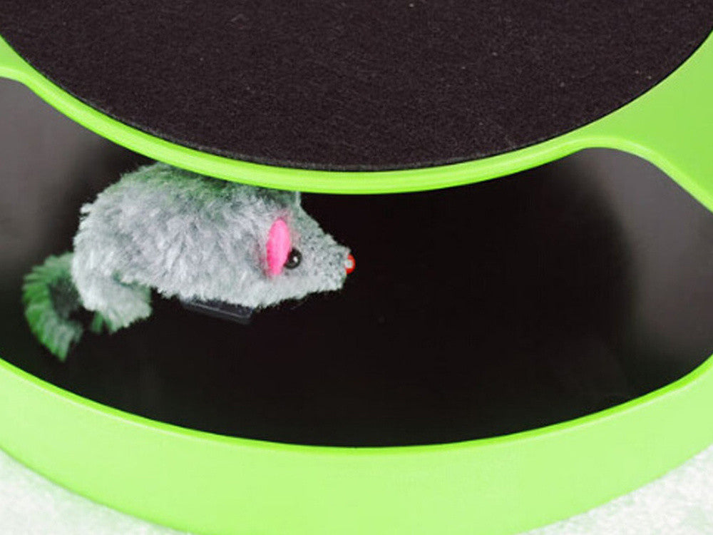 Brinquedo Interativo para Gatos