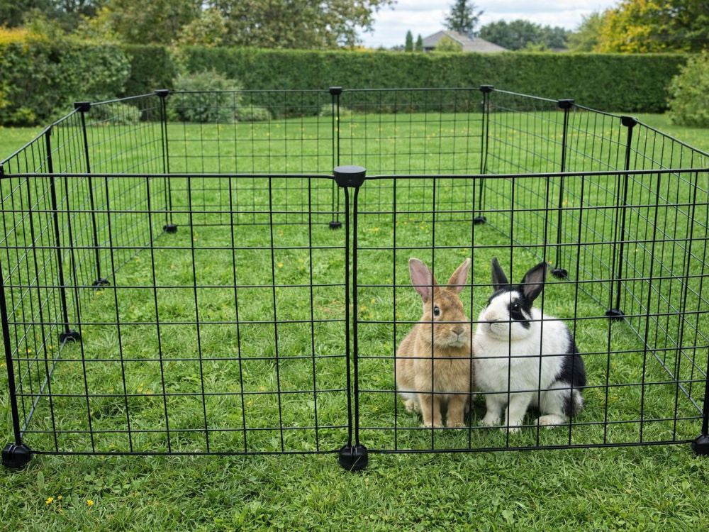 GAIOLA PARA ANIMAIS