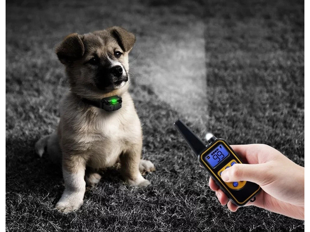 Colar de Treinamento para Pets com Controle Remoto Digital