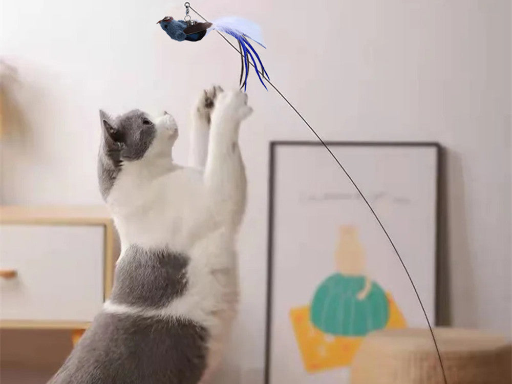 ANEL DE BRINQUEDO PARA GATO