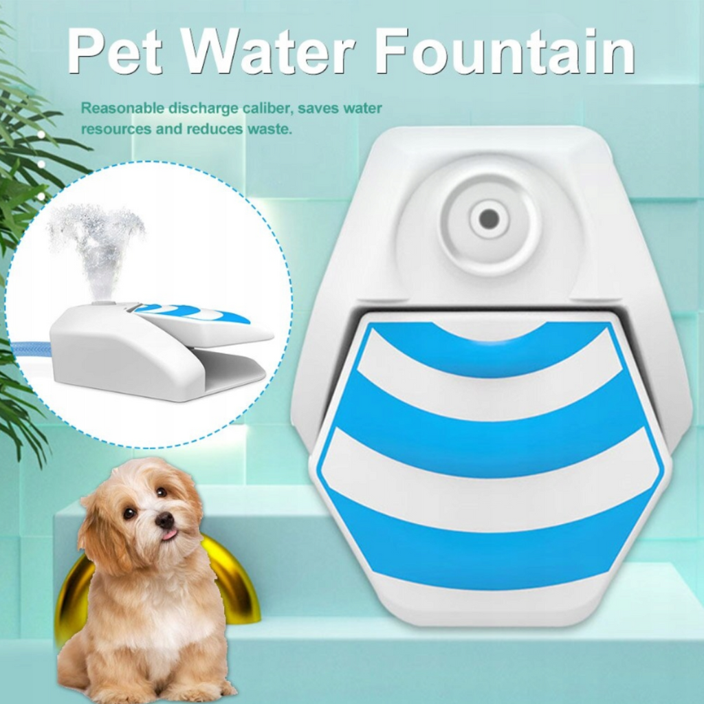 BEBEDOURO AUTOMÁTICO PARA CÃES
