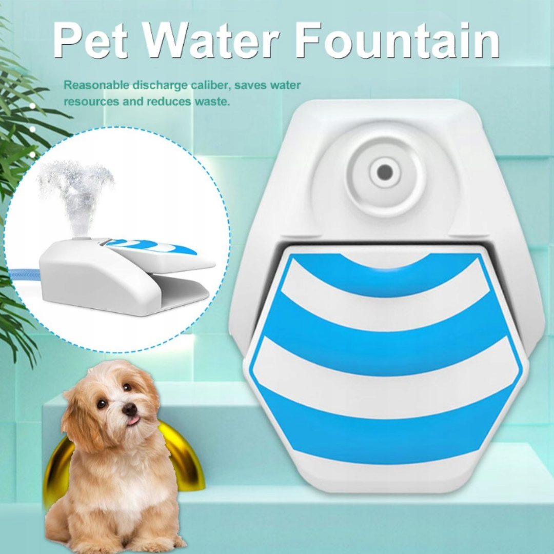 BEBEDOURO AUTOMÁTICO PARA CÃES