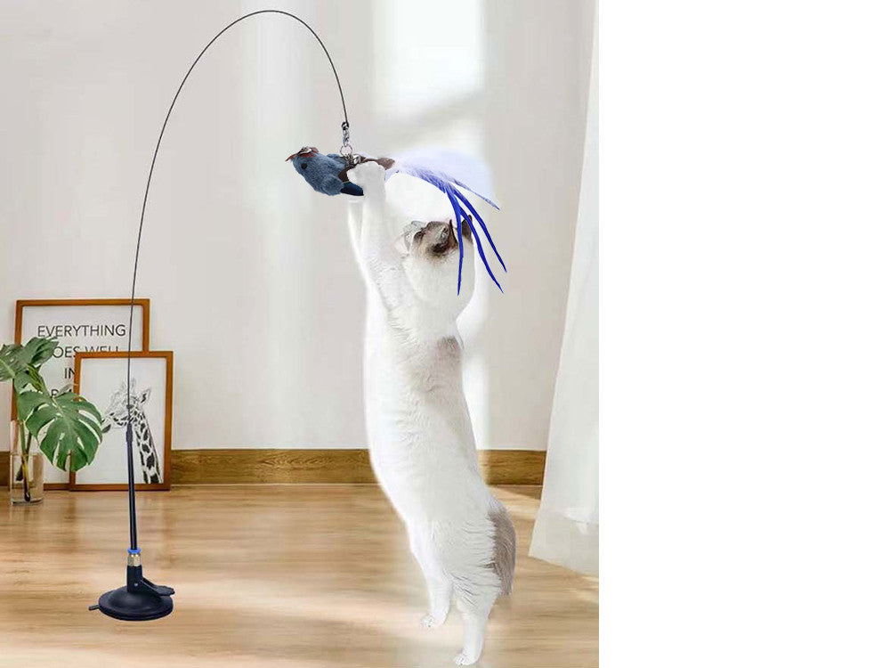 ANEL DE BRINQUEDO PARA GATO