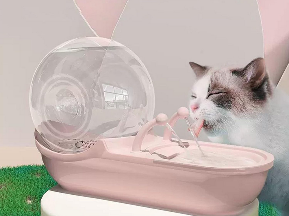 DISPENSADOR DE ÁGUA PARA ANIMAIS DE ESTIMAÇÃO