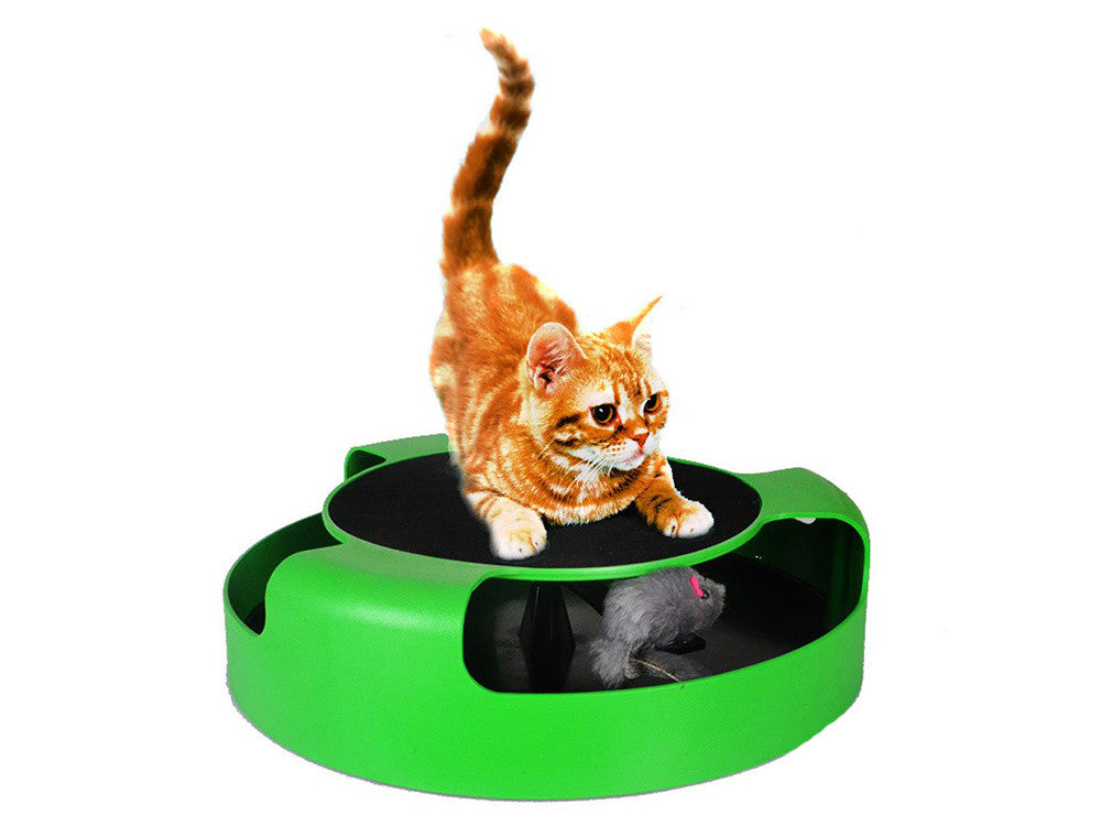 Brinquedo Interativo para Gatos