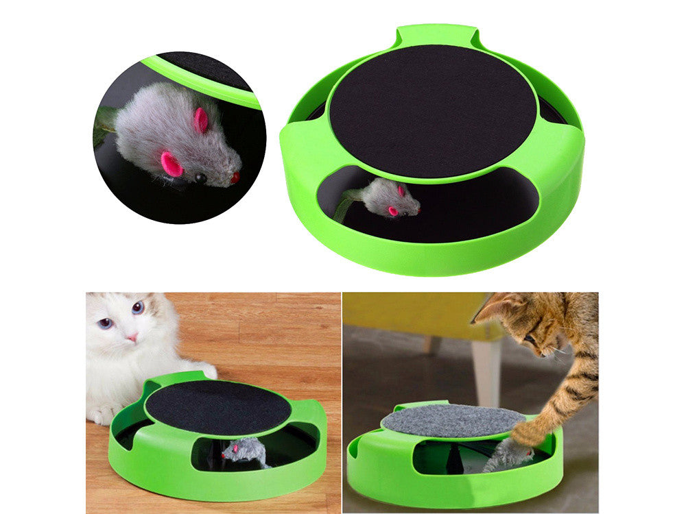 Brinquedo Interativo para Gatos