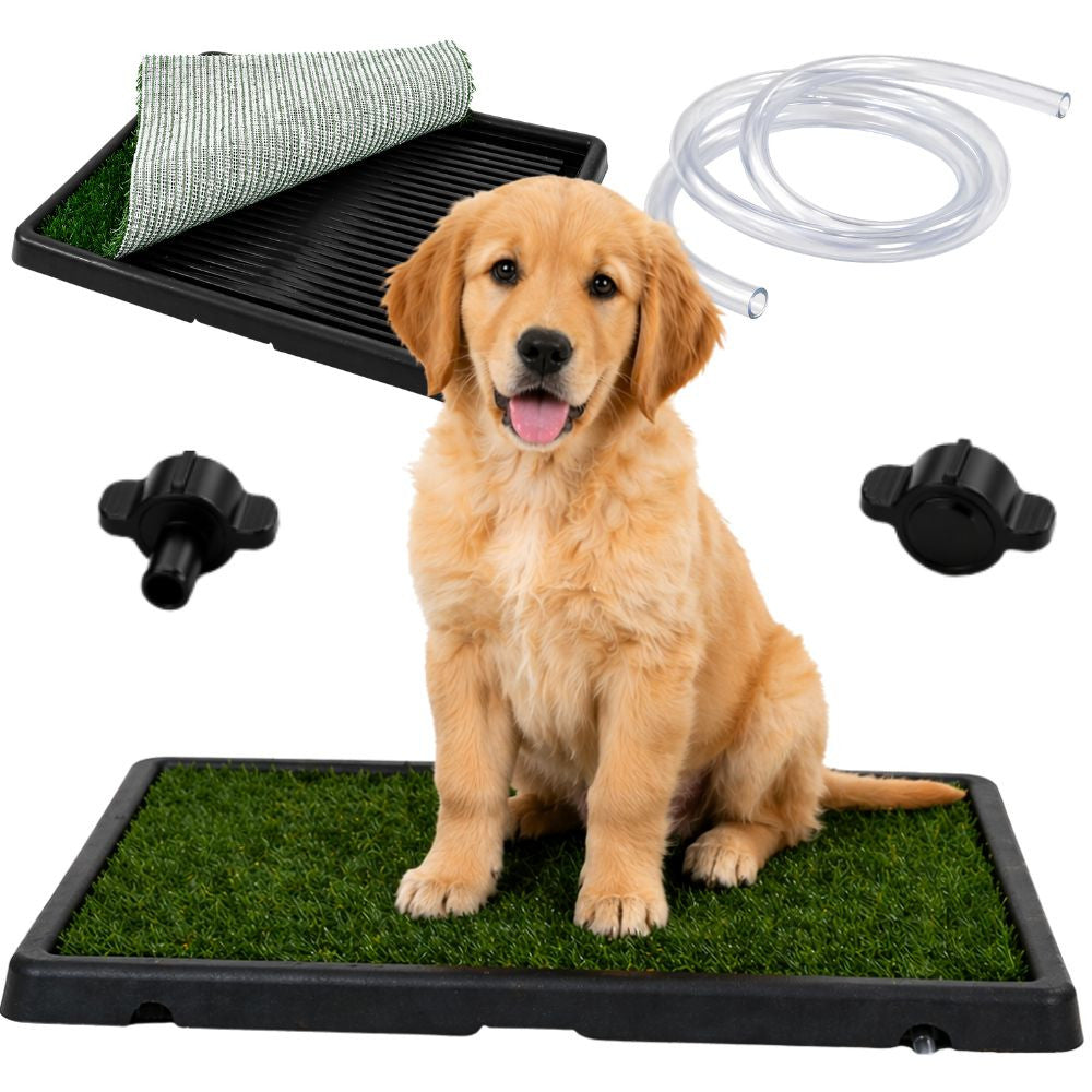CAIXA DE AREIA PARA CÃES KLW-100