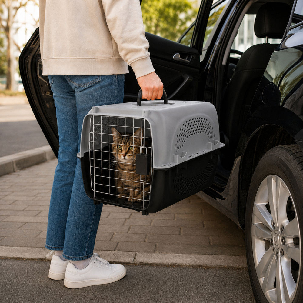 Transportadora Moderna para Gatos