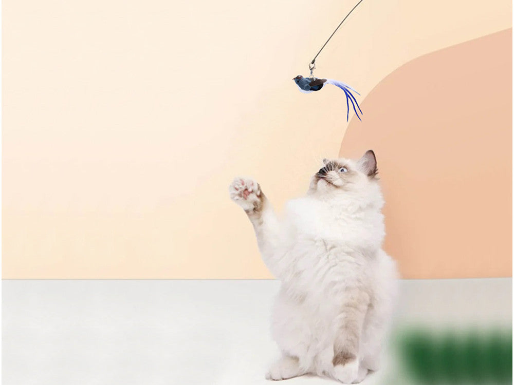 ANEL DE BRINQUEDO PARA GATO