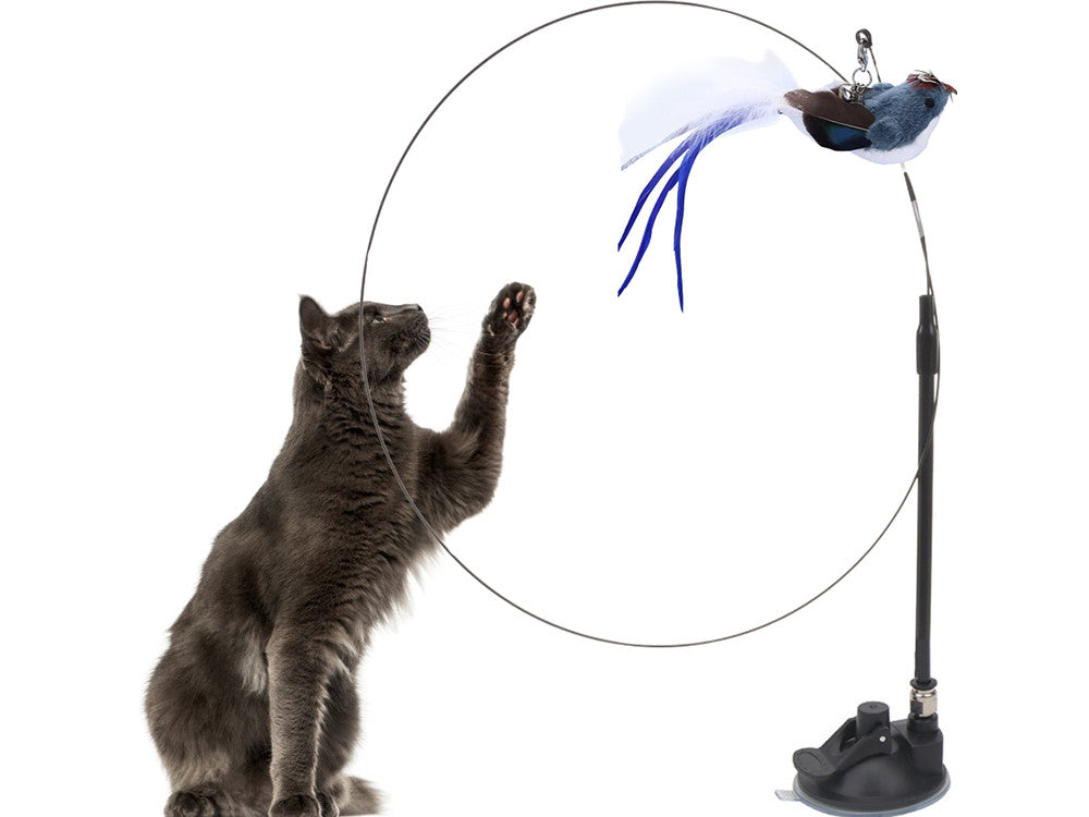 ANEL DE BRINQUEDO PARA GATO