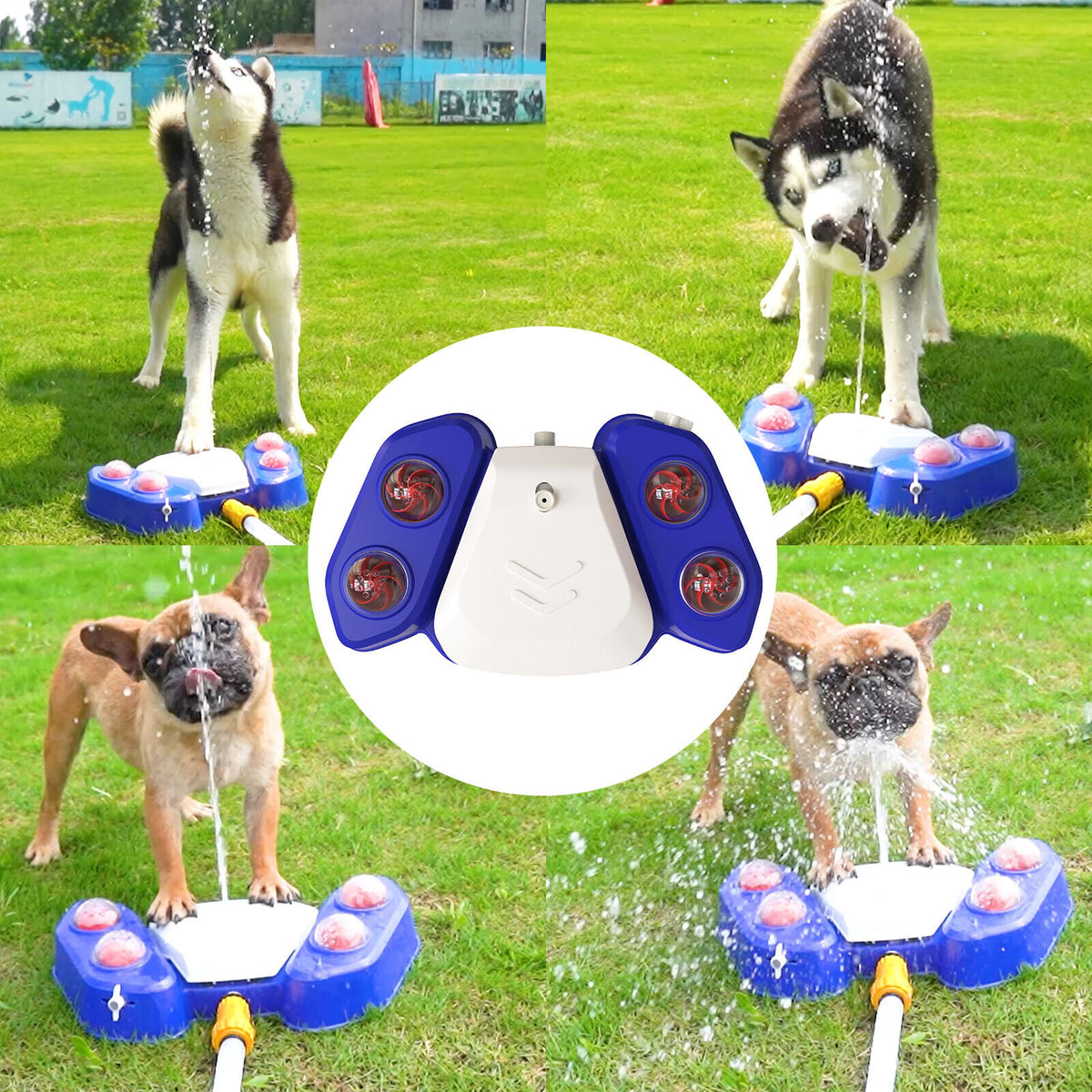 Bebedouro automático para cães - AZUL, AMARELO