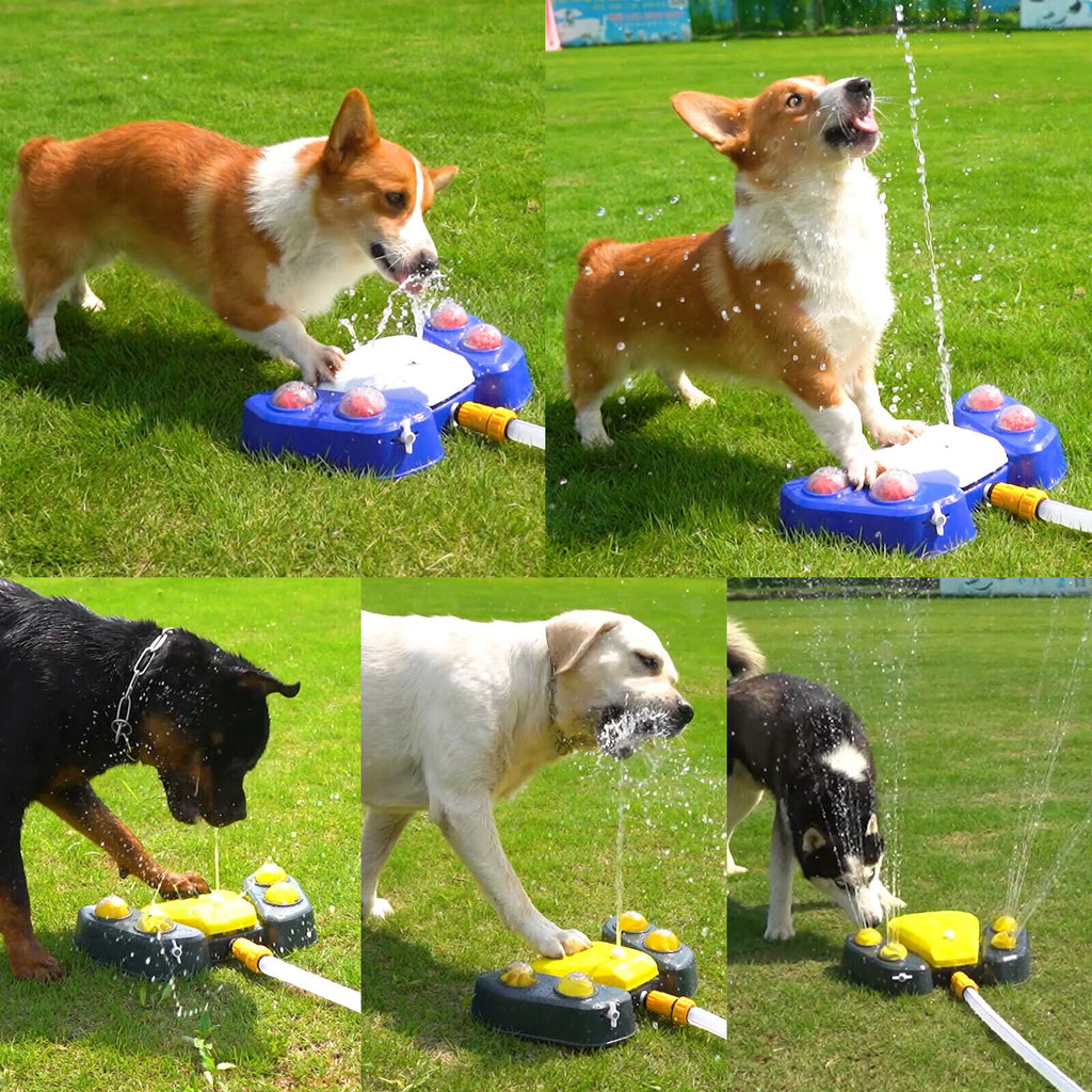Bebedouro automático para cães - AZUL, AMARELO